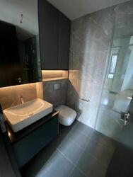 Irwell Hill Residences (D9), Apartment #465937871